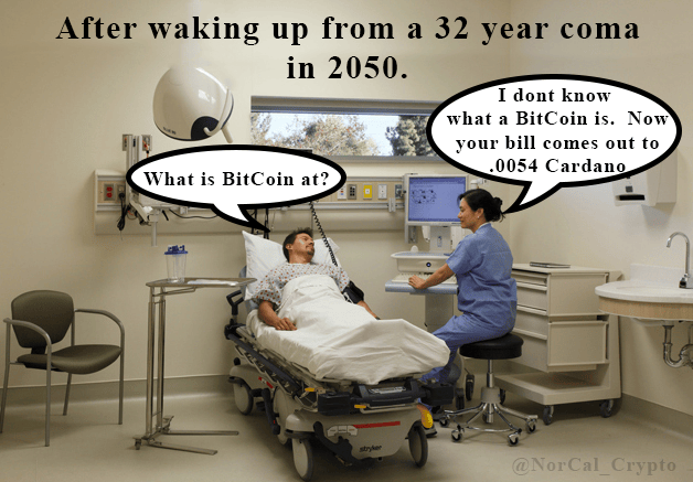 cardano-coma-awaken